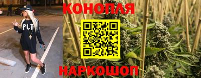 мяу мяу мука Малоярославец