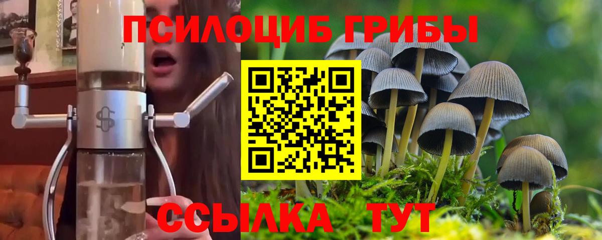 Гатчина  Псилоцибиновые грибы GOLDEN TEACHER  Вход с VPN 
