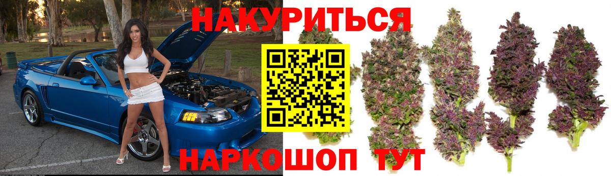 Гатчина  Каннабис MAZAR  Канабис семена  Вход с VPN 